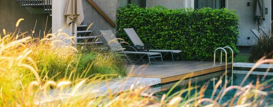 Automation and smart control: timers, sensors, remote control — what really pays off in a private pool