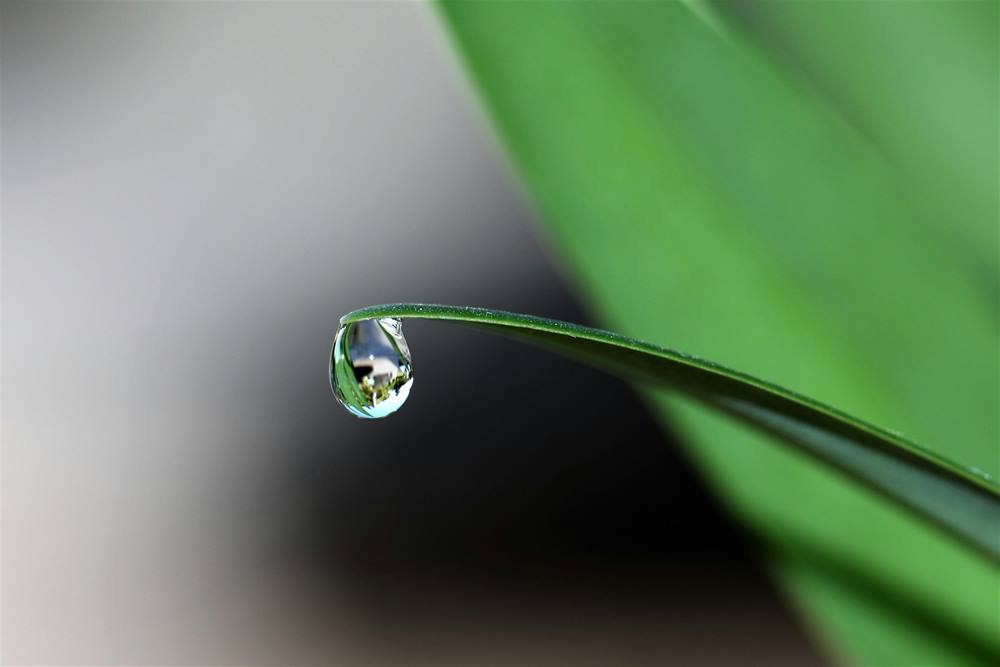 Complete Water Balancing Guide for New Melbourne Pool Owners: From Test Kit to Perfect Levels