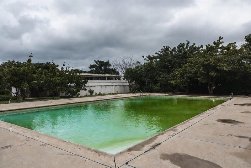Storm runoff and algae risk: what changes first and how to prevent a green swing
