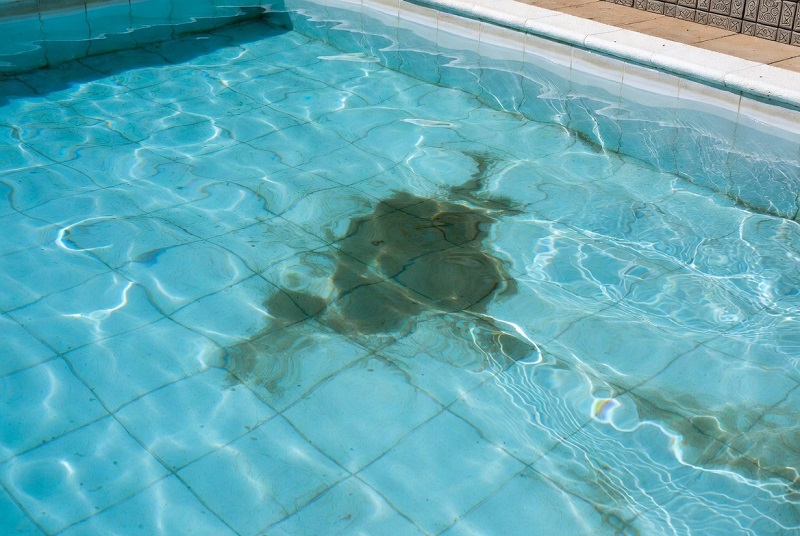 Pool Stain ID Guide: Organic vs Metal vs Scale in Swimming Pools