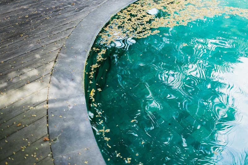 Why Your Pool Gets Dirtier Faster in Autumn: Leaves, Wind and Organic Load Explained