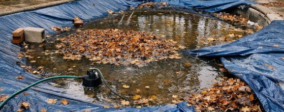 Pool Cover Mistakes in Autumn