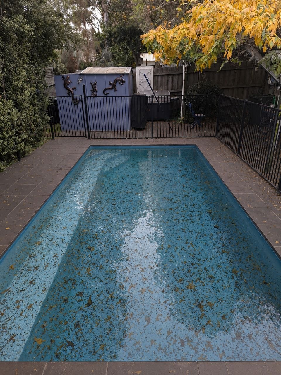 Residential pool before professional cleaning and water balancing