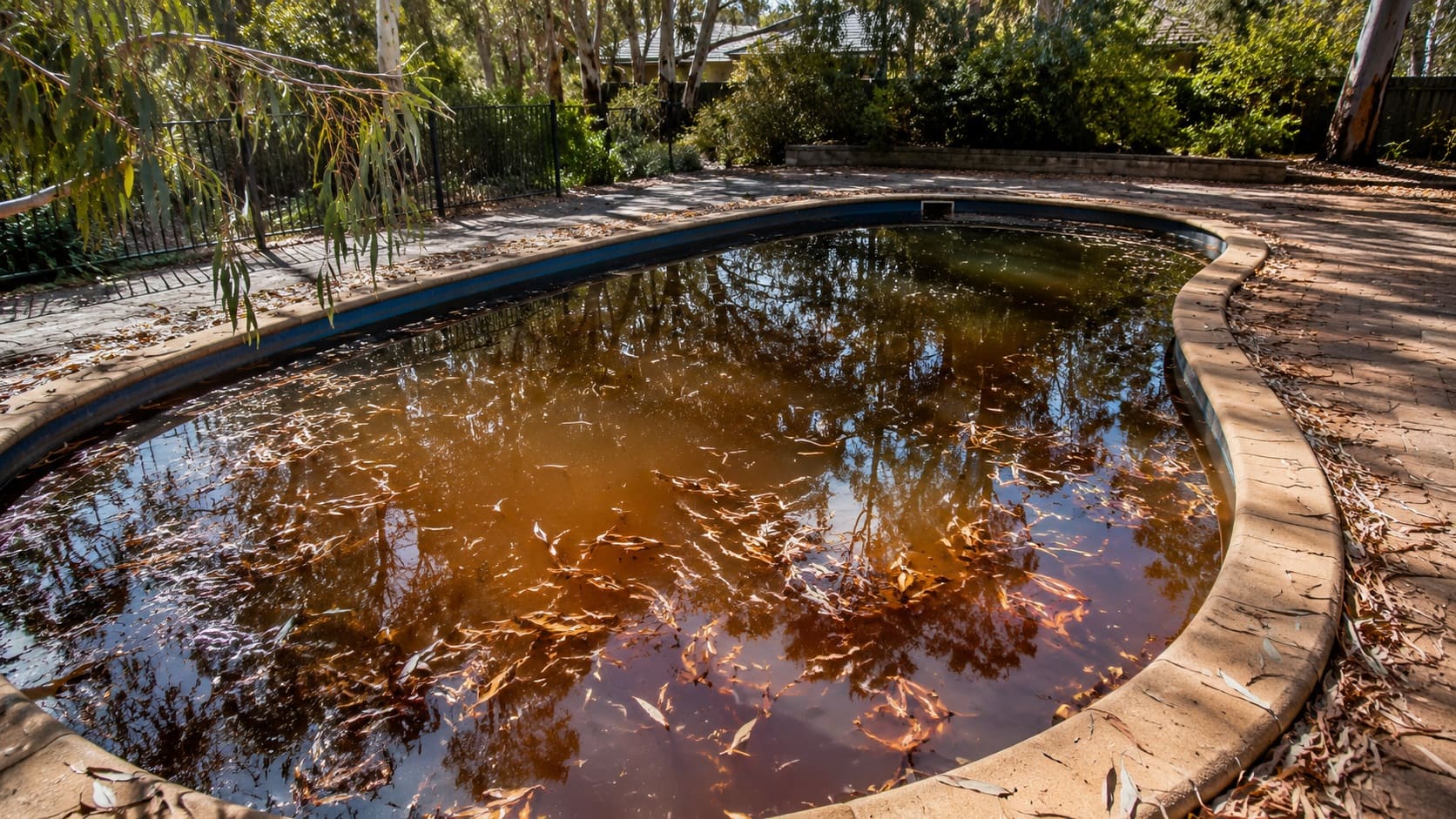Why Pool Water Turns Brown After Gum Leaves: Tannins, Organic Load and Chlorine Demand