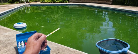 Pool Is Green but Chlorine Is High